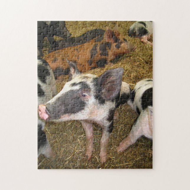 Niedliches Schwein-Puzzlespiel (Vertikal)