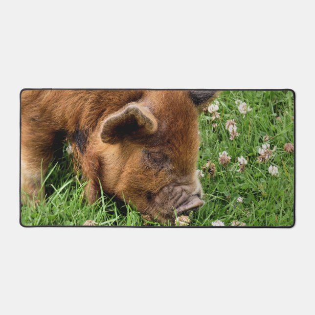 NIEDLICHES SCHWEIN SCHREIBTISCHUNTERLAGE (Vorderseite)