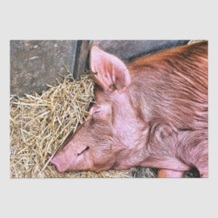 NIEDLICHES SCHWEIN SEIDENPAPIER