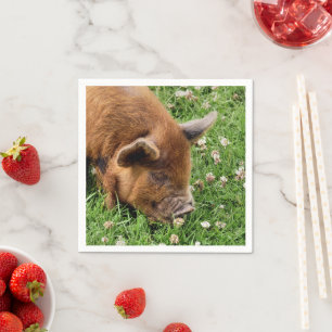NIEDLICHES SCHWEIN SERVIETTE