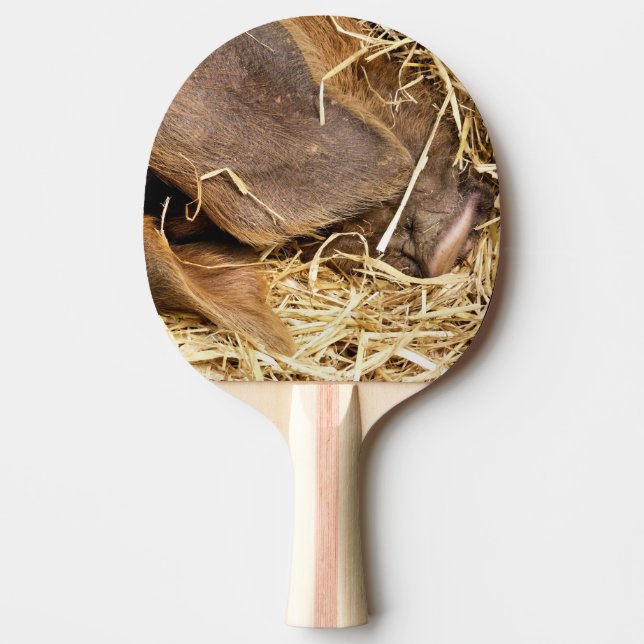 NIEDLICHES SCHWEIN TISCHTENNIS SCHLÄGER (Vorderseite)