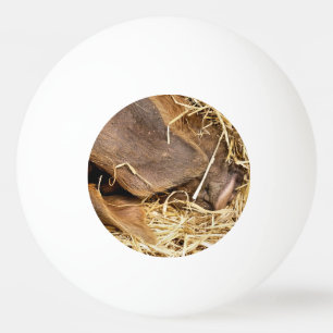 NIEDLICHES SCHWEIN TISCHTENNISBALL