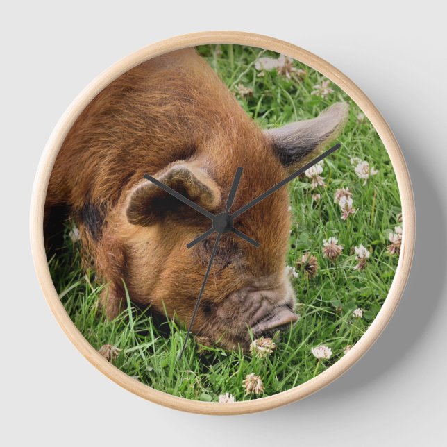 NIEDLICHES SCHWEIN UHR (Vorderseite)