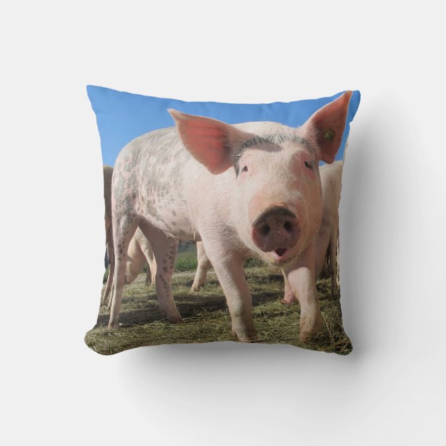 Niedliches Schweinekissen Kissen (Vorderseite)