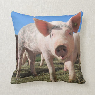 Niedliches Schweinekissen Kissen