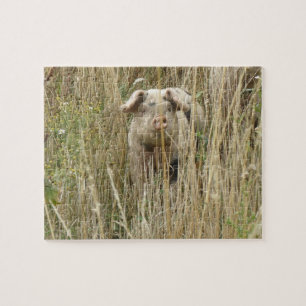 Niedliches Schweinepuzzle