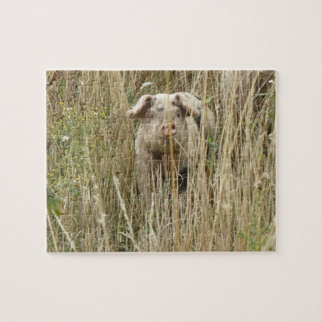 Niedliches Schweinepuzzle (Horizontal)