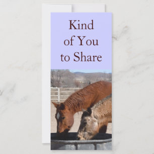Niedliches Sharing ist Spaß Pferd Western Lesezeic