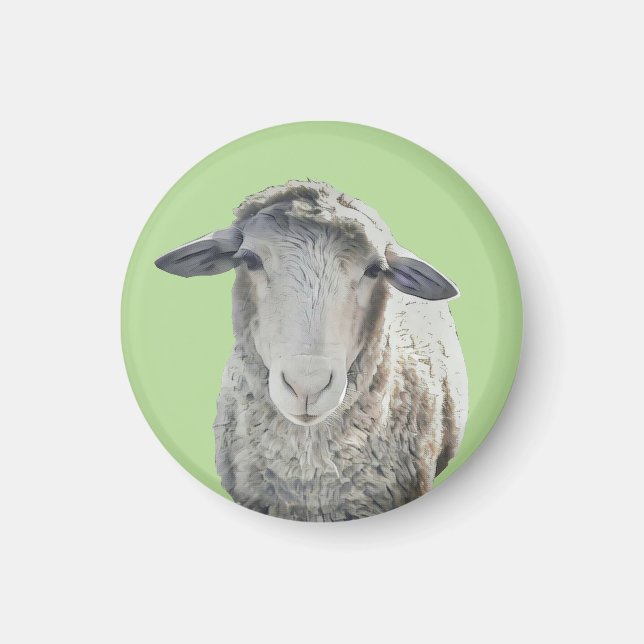 Niedliches Sheep Magnet (Vorne)