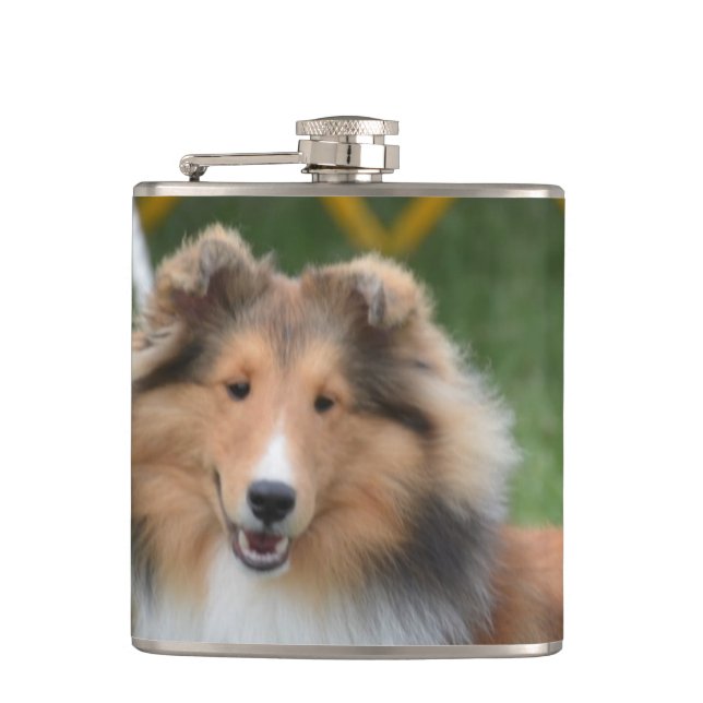 Niedliches Sheltie Flachmann (Vorderseite)