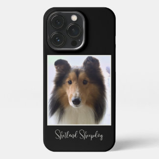 Niedliches Shetland Sheepdog Foto iPhone 13 Pro Hülle