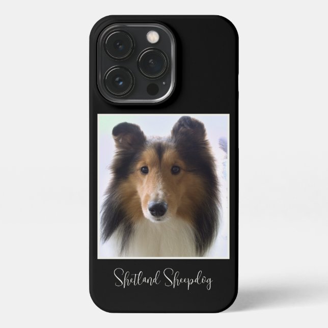 Niedliches Shetland Sheepdog Foto iPhone 13 Pro Hülle (Rückseite)