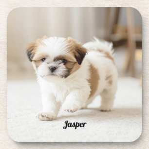Niedliches Shih Tzu Personalisiert Beverage Coaste Getränkeuntersetzer