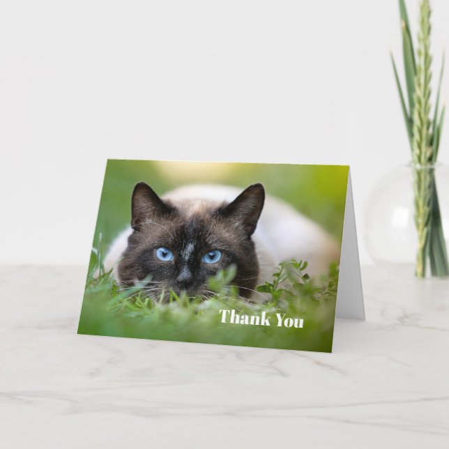 Niedliches Siamese Cat Foto Dankeskarte (Vorderseite)