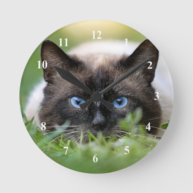 Niedliches Siamese Cat Foto Runde Wanduhr (Vorderseite)