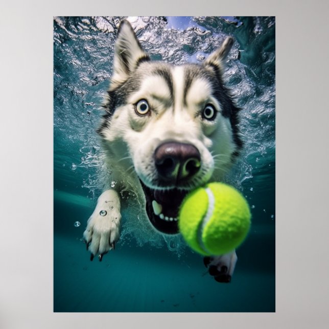 Niedliches Sibirisches Husky Diving Underwater Pos Poster (Vorne)