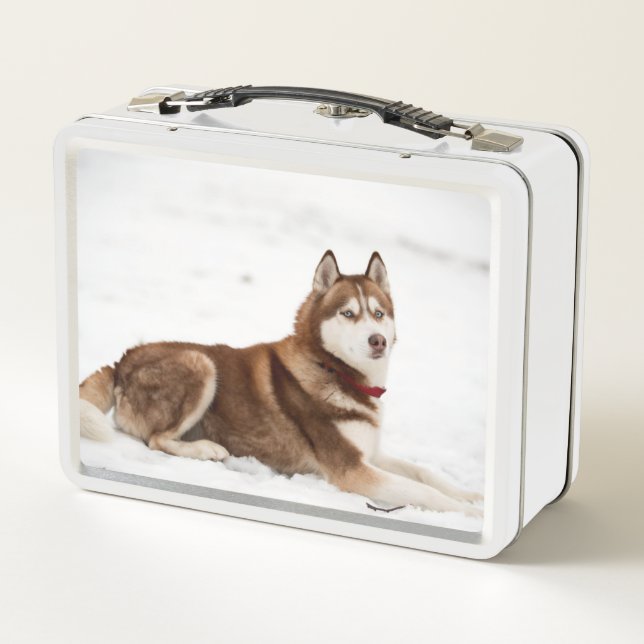 Niedliches Sibirisches Husky-Portrait Metall Brotdose (Rückseite)