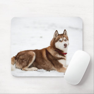 Niedliches Sibirisches Husky-Portrait Mousepad