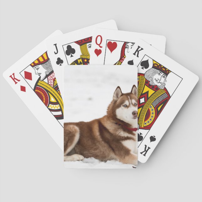Niedliches sibirisches Husky-Portrait Spielkarten (Rückseite)