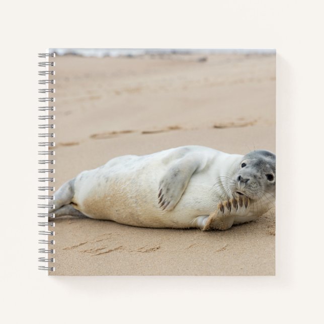 Niedliches Siegel am Strand Notizbuch (Vorderseite)
