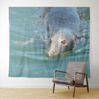 Niedliches Siegel Schwimmen an der Ocean Wall Kuns