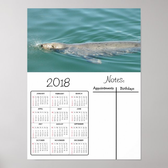 Niedliches Siegel Schwimmen Foto 2018 Kalenderpost Poster (Vorne)