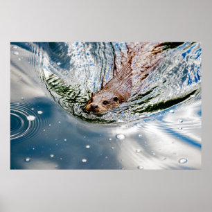 NIEDLICHES SIEGEL SCHWIMMEN POSTER