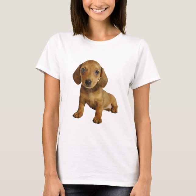 Niedliches Sitzen des Dackel-Welpen-(Sahnebrown) T-Shirt (Vorderseite)
