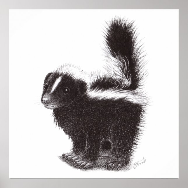 Niedliches Skunk - Zeichnend Poster (Vorne)