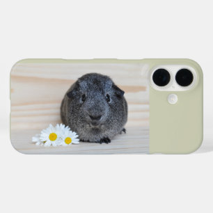 Niedliches Smooth, Silver Agouti Guinea Schwein un iPhone 16 Hülle