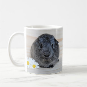 Niedliches Smooth, Silver Agouti Guinea Schwein un Kaffeetasse