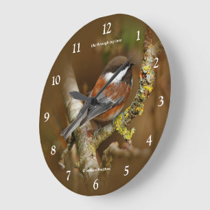 Niedliches Songvogel-Kohlmeise auf einem Baum Große Wanduhr