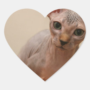 Niedliches sphynx Kätzchen "ich bin furless, sind Herz-Aufkleber
