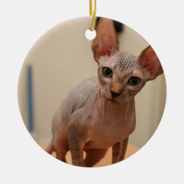 Niedliches sphynx Kätzchen "ich bin furless, sind Keramikornament (Vorne)