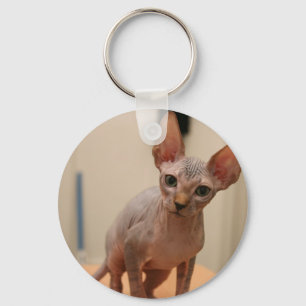 Niedliches sphynx Kätzchen "ich bin furless, sind Schlüsselanhänger