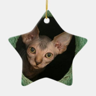 Niedliches sphynx Kätzchen Keramik Ornament
