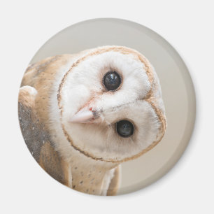 Niedliches Stallhuhn Magnet