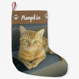 Niedliches Tabby Cat Custom Pet Foto Personalisier Kleiner Weihnachtsstrumpf