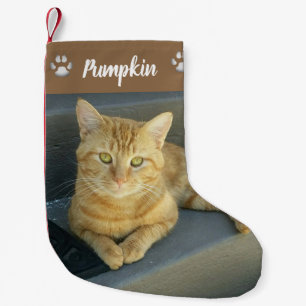 Niedliches Tabby Cat Custom Pet Foto Personalisier Kleiner Weihnachtsstrumpf