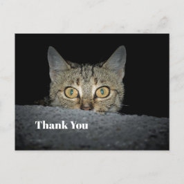 Niedliches Tabby Cat Peeking Foto Vielen Dank Postkarte