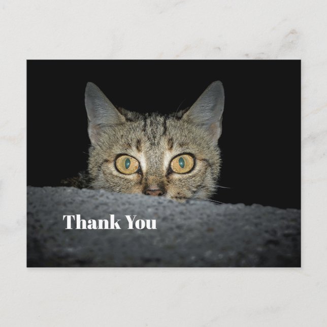 Niedliches Tabby Cat Peeking Foto Vielen Dank Postkarte (Vorderseite)