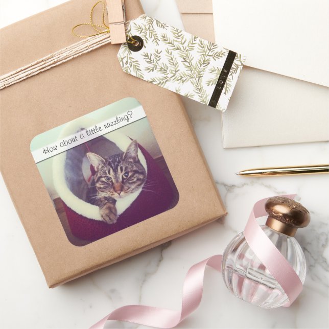 Niedliches Tabby Kitty in Hüttenfoto Vorlage Quadratischer Aufkleber (Schenken)
