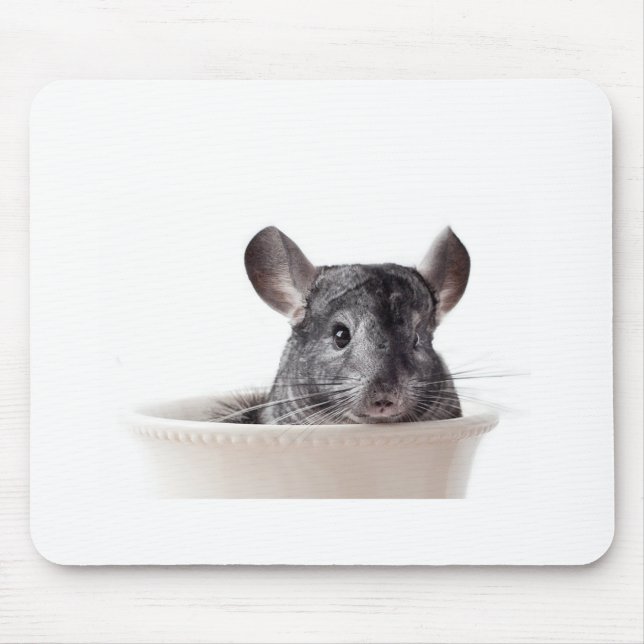 Niedliches Teacup-Chinchilla-Grau Mousepad (Vorne)