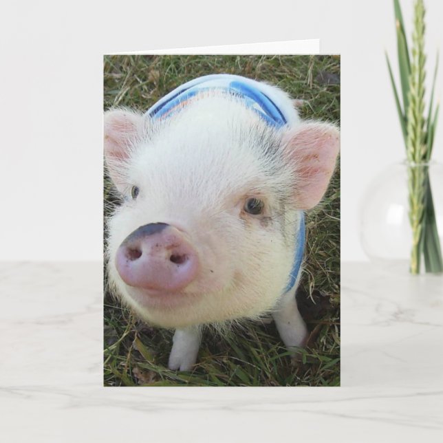 Niedliches Topf-Bauch-Schwein Karte (Vorderseite)