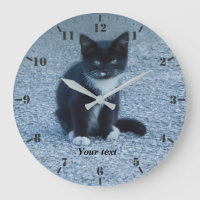 Niedliches Tuxedo Kitten personalisieren