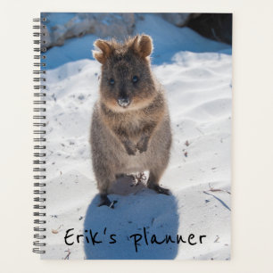 Niedliches und glückliches Quokka am Strand Austr Planer