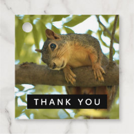 Niedliches und kurioses Eichhörnchen Natur-Foto -  Geschenkanhänger