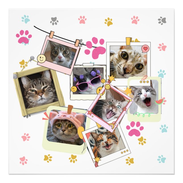 Niedliches und lustiges Katzendesign Fotodruck (Vorne)