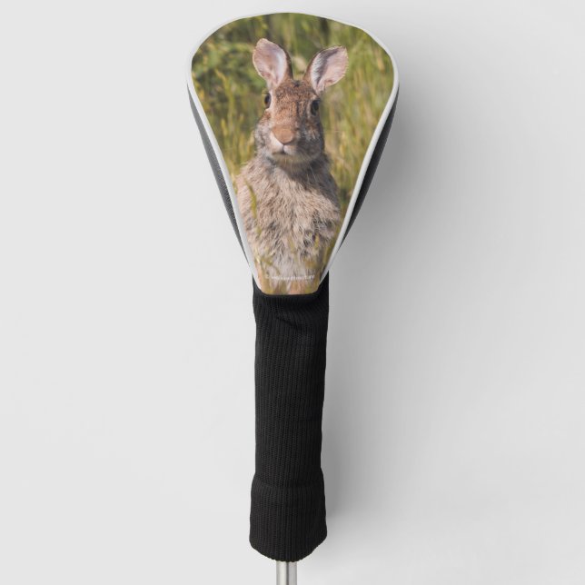 Niedliches und neugieriges Ostküstenkaninchen Golf Headcover (Vorderseite)