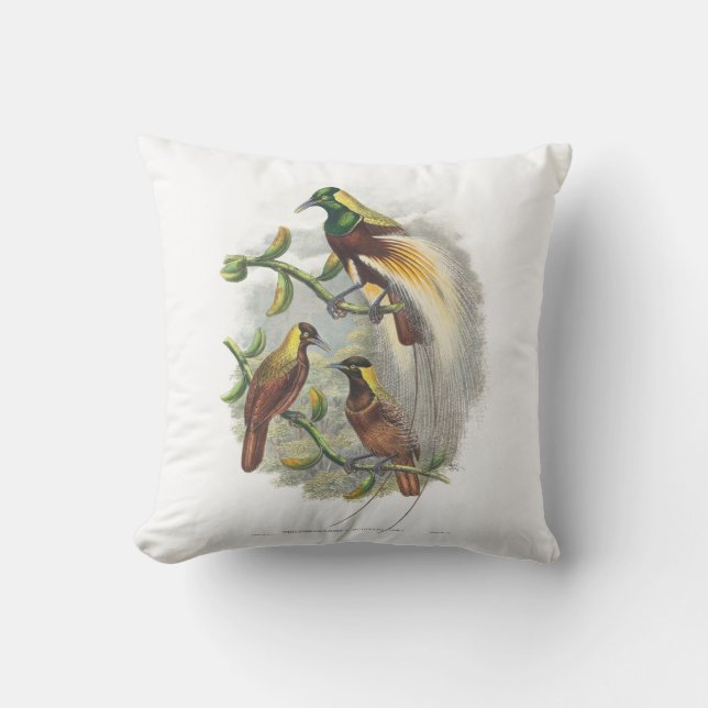 Niedliches Vogelpolster Kissen (Vorderseite)